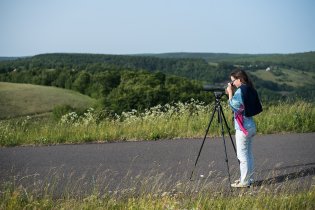 Osvěžující chvilka birdingu v Krušných horách