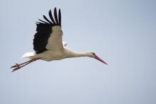 Cestou zpět jsme si trochu zajeli, kvůli tomuhle krasavci
