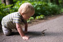 Vikouškovo blízké setkání se slepýšem