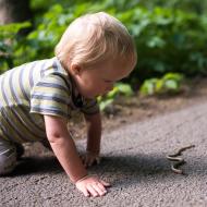 Vikouškovo blízké setkání se slepýšem