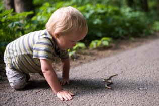 Vikouškovo blízké setkání se slepýšem