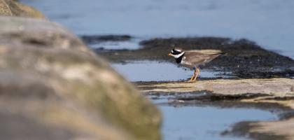 3. víkend v květnu 2022