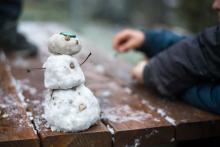 První letošní sněhulák