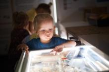 Viki se nechal na pár vteřin zaujmout taji recyklace