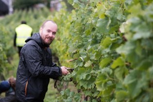 Dali si své první vinobraní očividně užil