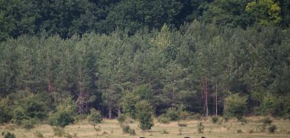 4. víkend v červenci 2022