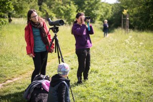 Dá se, či nedá (širší rodina na ptáčkaření?)