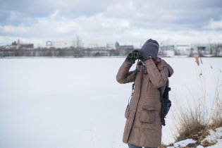 Náš první slavný waterbird monitoring - rybník zamrzlý, široko daleko jen 23 kachen březňaček