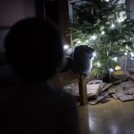 Štědrý večer jsme původně plánovali strávit v Praze...