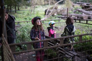 Vyhublá prasátka našich pár kousků pečiva moc nezasytilo