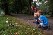 Podzámecká zahrada