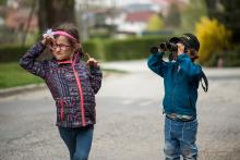 Pozorujeme křižanovské čápy