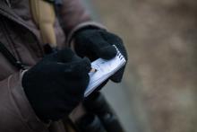 Waterbirdmonitoring podruhé - tentokrát jsme sčítali jak diví: labutě, kachny divoké, husy velké a morčáci velcí