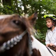 A to už jsme v lese