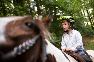 A to už jsme v lese