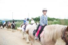 A vracíme se mezi poli