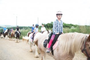 A vracíme se mezi poli