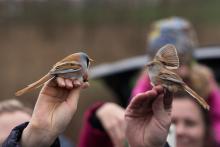 Jak by taky ne, když byli k vidění takoví krasavci