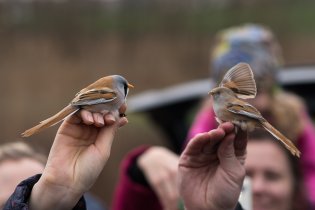 Jak by taky ne, když byli k vidění takoví krasavci
