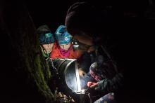 A další poklad, tentokrát ten na konci trasy Upíří kešky