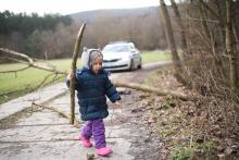 Byli jsme svědky policejního zásahu u spadlého stromu
