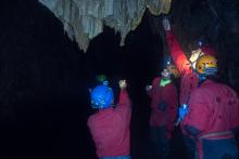 Račte načepovat, na zdraví!