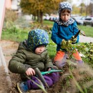 Jestlipak tulipány letos vysazené napřesrok vykvetou?