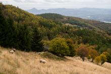 Krásy Krušných hor (na fotce naštěstí není vidět, jaká zima nám byla)