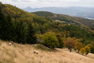 Krásy Krušných hor (na fotce naštěstí není vidět, jaká zima nám byla)