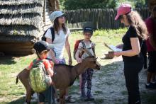 Archeokoza v archeoskanzenu Modrá