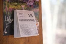 Na co člověk nenarazí v Podkomorských lesích: Boží Slovo, a ještě aktualizované