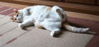 3. víkend v dubnu 2023