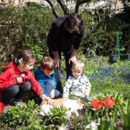 Na zahrádce už kvetou (nejen) kočičky