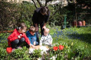 Na zahrádce už kvetou (nejen) kočičky