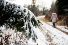 Nad 700 m.n.m už je zima!