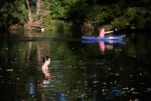 Pozorujeme kajaky na svratce