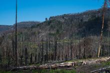 Výhled na Pravčickou bránu