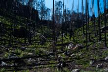 A opravdu to tak vypadá