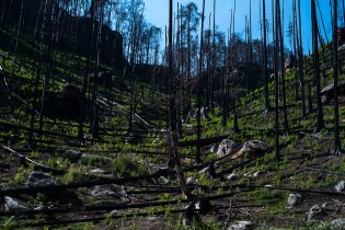 A opravdu to tak vypadá