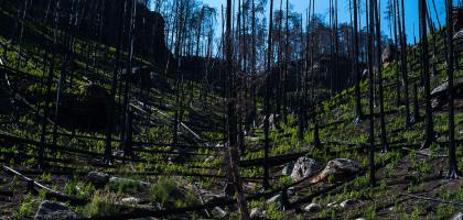 3. víkend v srpnu 2023