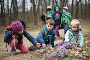 Někde se dají i pěkně pohladit