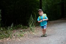 Jeden z pokusů vyrobit z Vikiho turistu