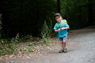 Jeden z pokusů vyrobit z Vikiho turistu