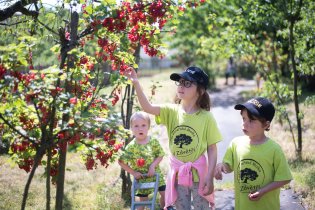 Rybíz už je k jídlu. léto může začít!