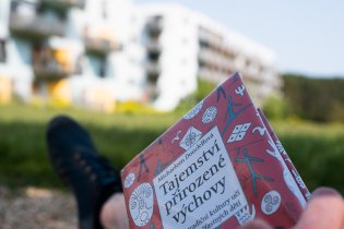 Ano, stále ještě občas vezmeme do ruky knihu o výchově