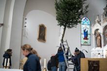 Díky silným mužům se i letos podařilo vánoční strom bezpečně spustit k zemi