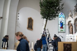 Díky silným mužům se i letos podařilo vánoční strom bezpečně spustit k zemi