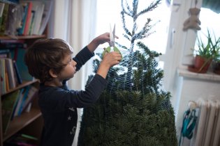 Stromeček je třeba opatrně vystříhat z obalu