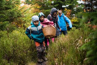 Ráďa hledá klouzky