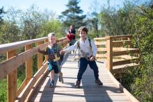 Na koniklecovou louku jsme vyrazili až po odkvětu. Bonus: byli jsme tu skoro sami.